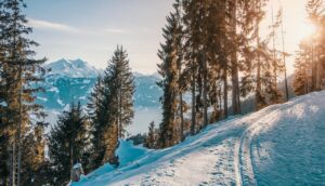 Effective SEO strategies for ski hotel websites