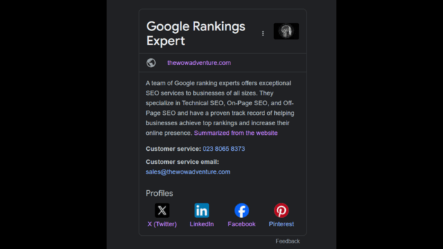 Google Knowledge Panels and The WOW Adventure's for Google Rankings Expert