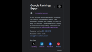 Google Knowledge Panels and The WOW Adventure's for Google Rankings Expert